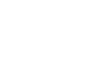 The Survey Association